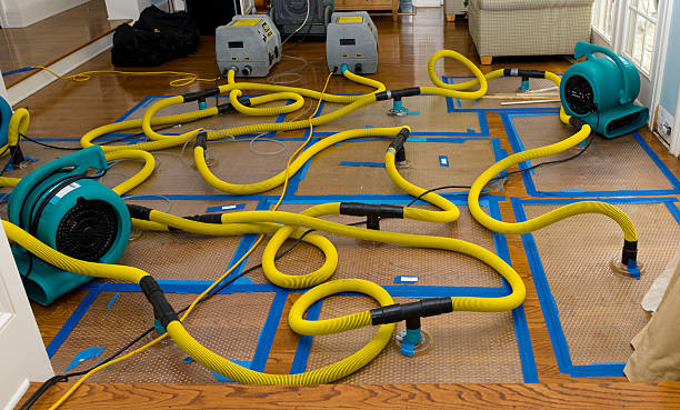 Professional Basement Flood Cleanup technician working in Orchard, TX